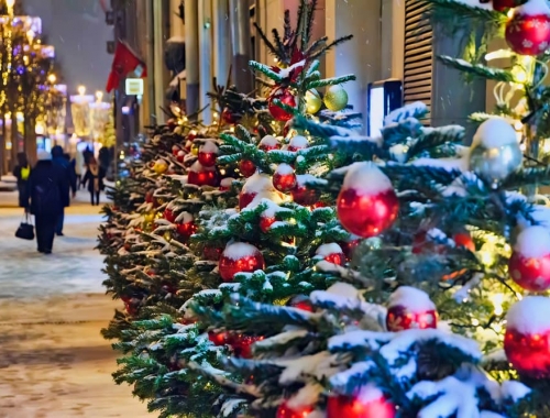 Новогодняя столица России 2026 года – Рязань!